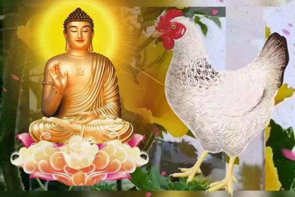 79岁属鸡的命理分析与人生智慧探讨 79岁属鸡的命理分析与人生智慧探讨