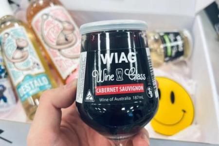 满命女仆杯子：日常生活中的神秘伴侣与使用之道