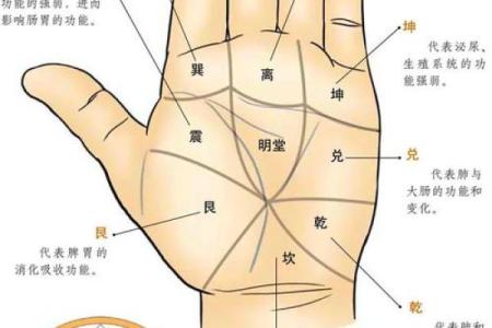 手相纹路解析：发现你命运的秘密之窗