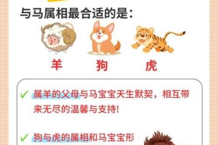 32岁属马者的命理解析：木命与水命的深度探讨