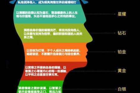 七条命：揭秘命格类型与命运的深层关系