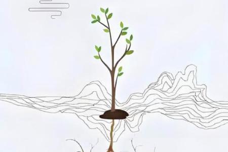 探索“将命”之道：在生活中寻找平衡与意义