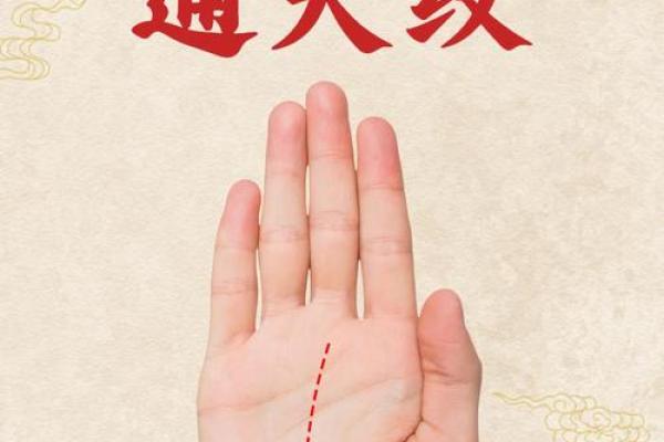 命数最高的命格:揭秘命运的奥秘与人生转折 命数最高的命格:揭秘命运的奥秘与人生转折