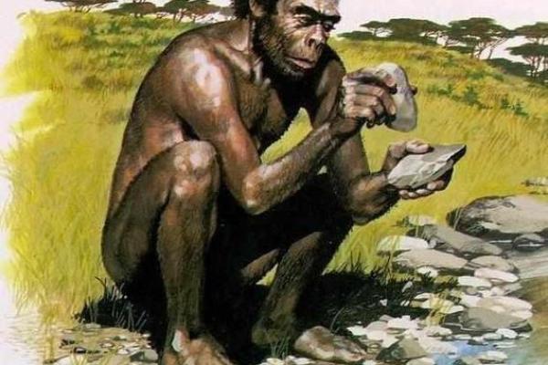 石榴木命与不宜养宠物的秘密揭秘！