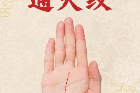 命数最高的命格：揭秘命运的奥秘与人生转折