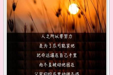 为命运而战：追寻生命中的光辉与希望