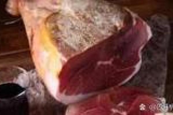 肩膀后面长毛的命运解析:你知道吗? 肩膀后面长毛的命运解析:你知道吗?