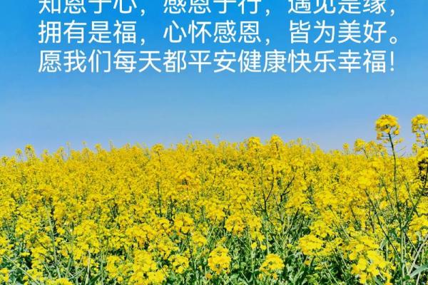 根据命生病:缘分与健康的秘密探讨 根据命生病:缘分与健康的秘密探讨