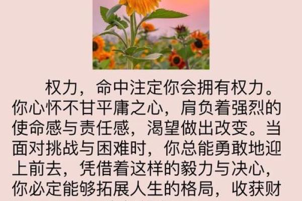 探讨“命”“成语”的深刻内涵与人生智慧 探讨“命”“成语”的深刻内涵与人生智慧