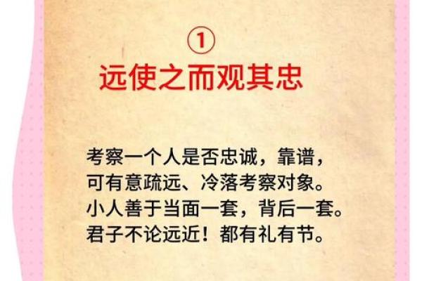 人到中年，命运与积累的成语智慧探秘