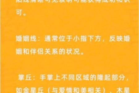 解读手相线乱的奥秘：命运与内在的深刻关联