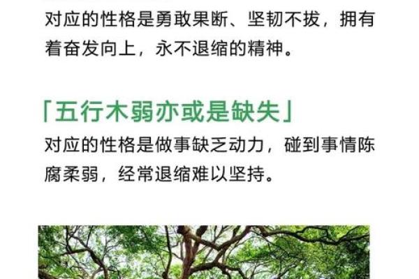 大林木命人：揭示命理中的特点与忌讳