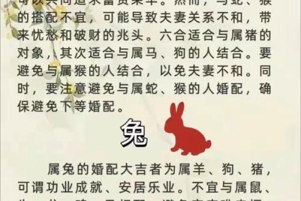 属相解析：揭开哪些属相不算富婆命的秘密