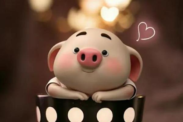 2019猪年命格解析:揭秘你与猪年的缘分与命运 2019猪年命格解析:揭秘你与猪年的缘分与命运