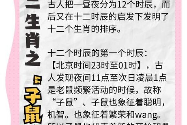 96年属鼠的人生运势与性格特点解析 96年属鼠的人生运势与性格特点解析