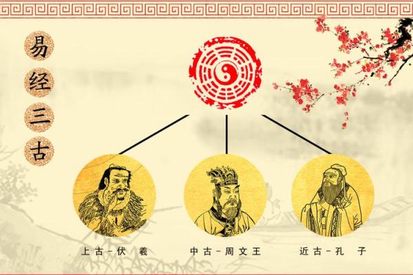 乙木女命缺土，如何寻找命理中的平衡与幸福？