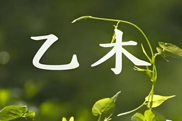乙木女命缺土，如何寻找命理中的平衡与幸福？