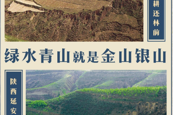 1978年：风华正茂的马年，揭开命运的篇章