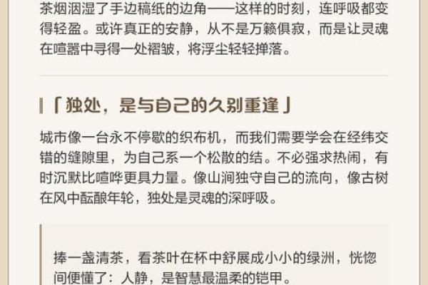 2008年——蝉鸣中的虫音与时光交错的年轮