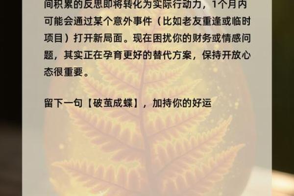 水命与金命 探索运用元素平衡人生的重要性