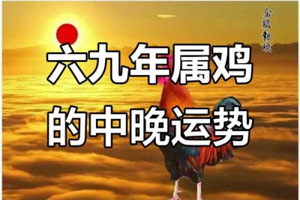 55岁属鸡人命运分析：人生的转折与机遇
