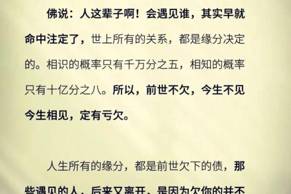 命若相惜，缘定三生的启示与感悟