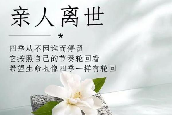 揭开羁命的神秘面纱：人生中的宿命与自由交织