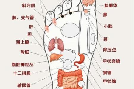 脚底有痣的人命运解析：你的人生暗示与性格特征！