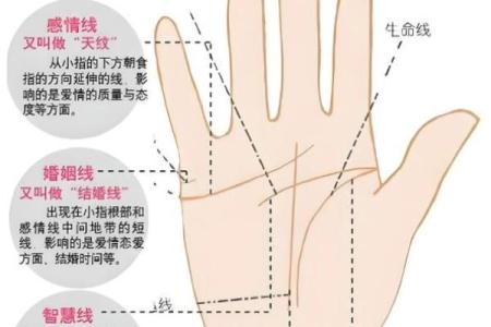 男生右手断掌线的秘密：揭示命理中的神秘特征与命运转折