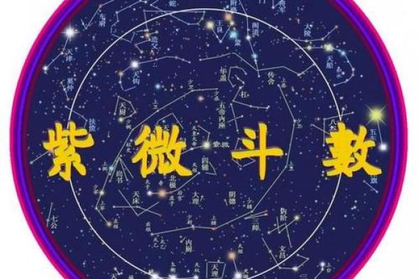 辛丑年出生孩子的命运与人生：揭开命理的神秘面纱