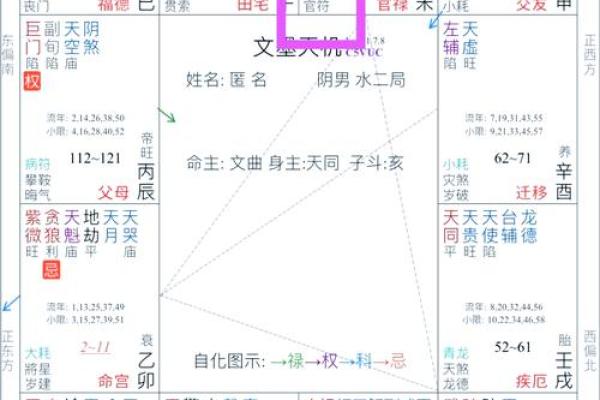 探索命运的奥秘：基于出生年份的命理解析