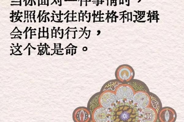 测出你的命运：命是什么，如何改变命运？