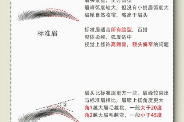 不做眉毛的人命运解析：眉毛的微妙影响与人生走向