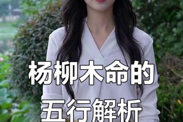 2019年是什么木命？深入探索命理中的木命特征与运势