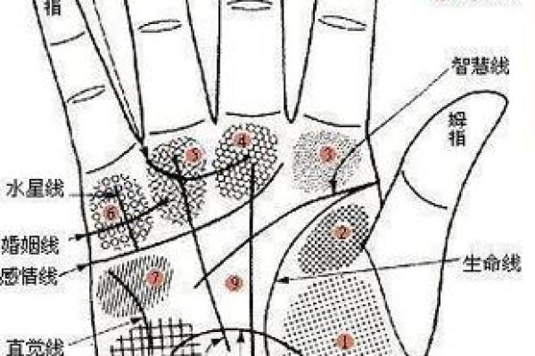 看手相识命理，揭示你未知的性格与命运