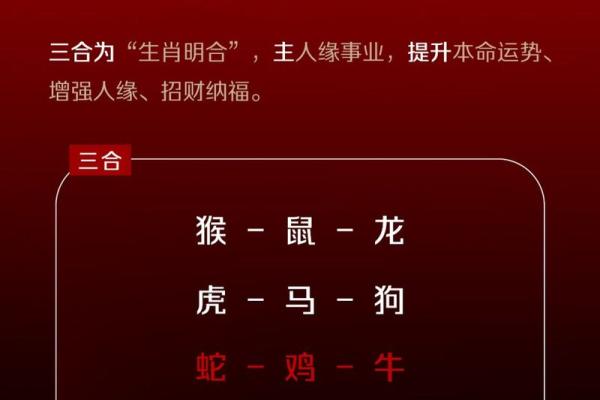 2024年属鼠人命运解析：寻找幸福与事业的平衡之道