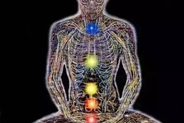 根据头的形状解读人的命运：你该知道的秘密