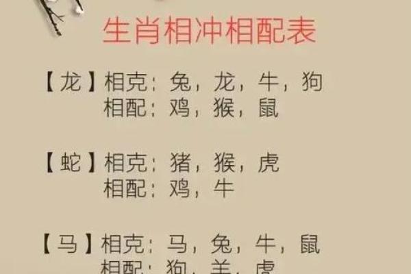 1963年兔命解析：属兔人的性格与命运之旅