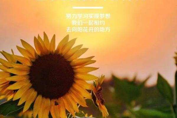 不喜欢约束的命格，追逐自由与梦想的灵魂之旅