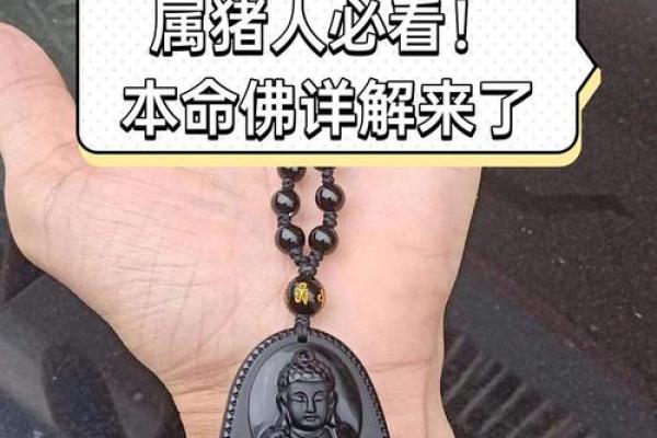 三十五岁生肖运势解析：属猪的人生与命运之谜