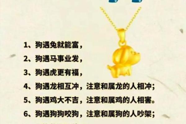 2019年狗年揭秘：属狗人的命运与运势分析