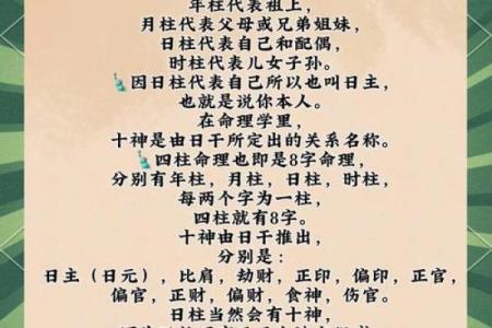 男命是女命的食神：揭开命理中的神秘面纱