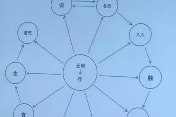 命运的秘密：如何透过命理看懂人生的轨迹