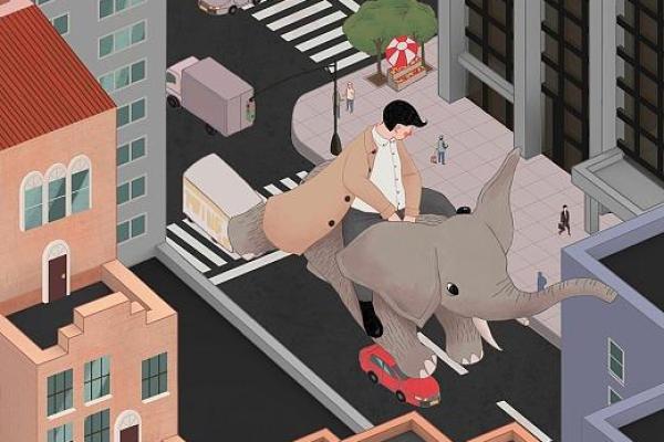 1961年出生的猪年人命运解析：幸福与挑战并存的一生