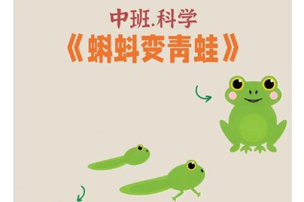 青蛙的奇幻旅程：从池塘到星空的蜕变