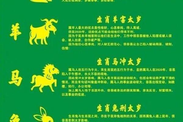2020鼠年出生的孩子：命运与性格的深度解析