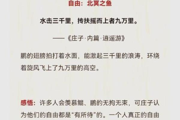 命理与归宿：启示人生的成语之美