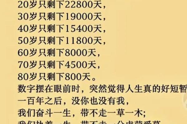 农历94年出生的人：独特命运与生活启示