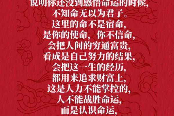人生的不信命:面对命运,我们该如何选择? 人生的不信命:面对命运,我们该如何选择?