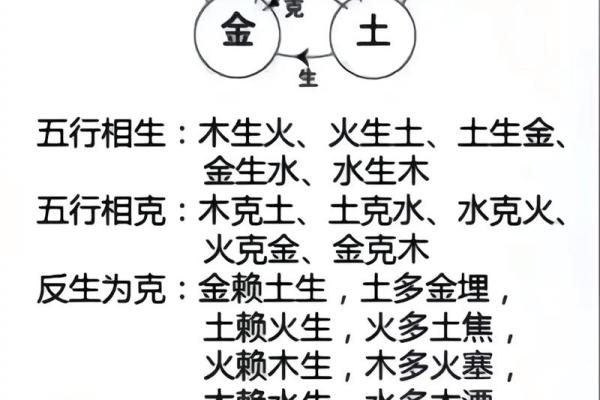 金木水火土命的奇妙搭配与人生智慧探寻 金木水火土命的奇妙搭配与人生智慧探寻